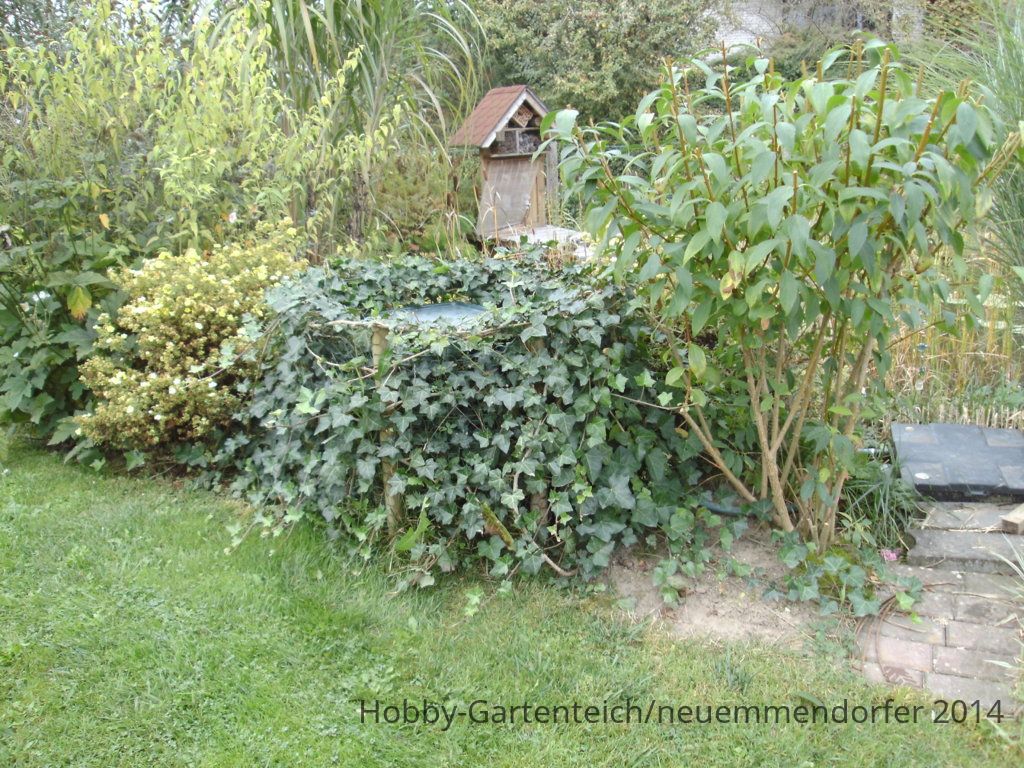 BILD1198.JPG