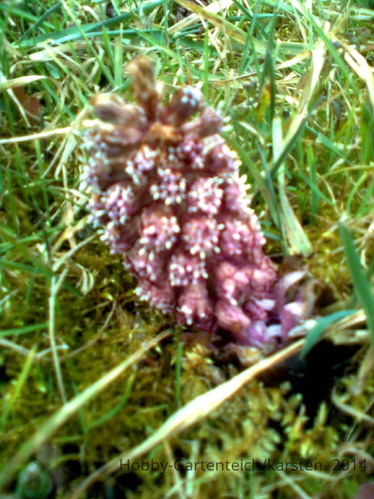 Bild1316.jpg