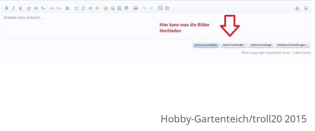 Bilder Hochladen.jpg