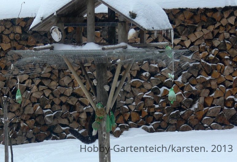 bl%C3%B6der-saukater-jpg.114568
