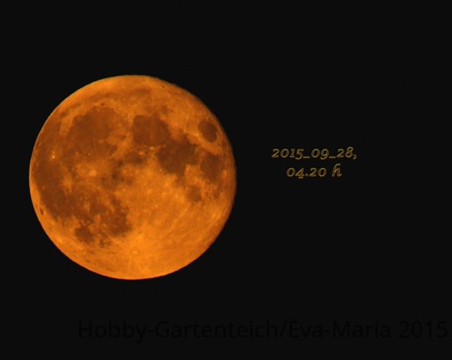 blood moon_28092015_640.JPG
