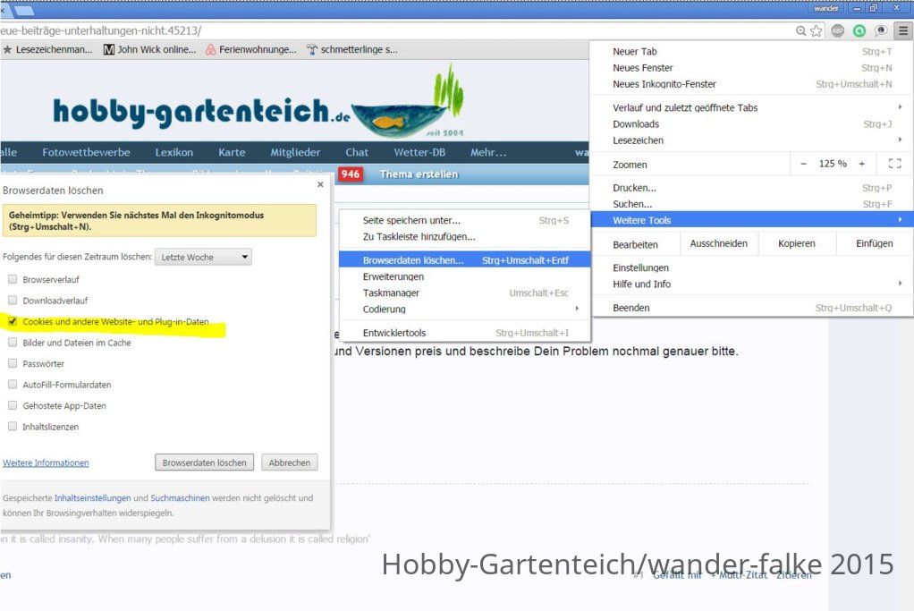 cachelöschen.JPG