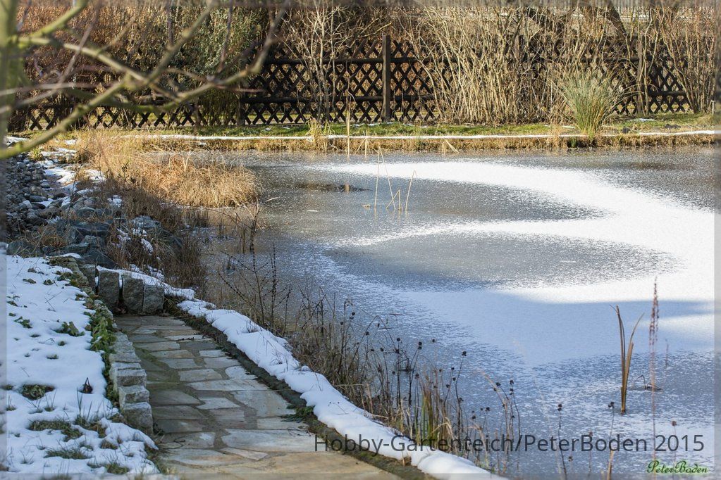comp_IMG_20150207_0396-1.jpg