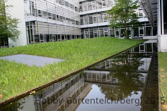 Cortenteich1.JPG