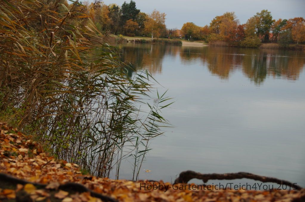DSC07265.JPG