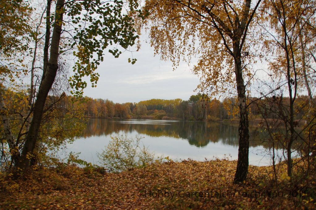 DSC07274.JPG