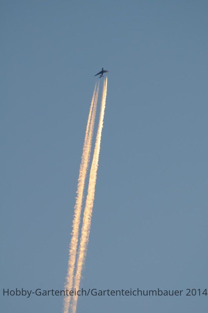 DSC_0039.JPG