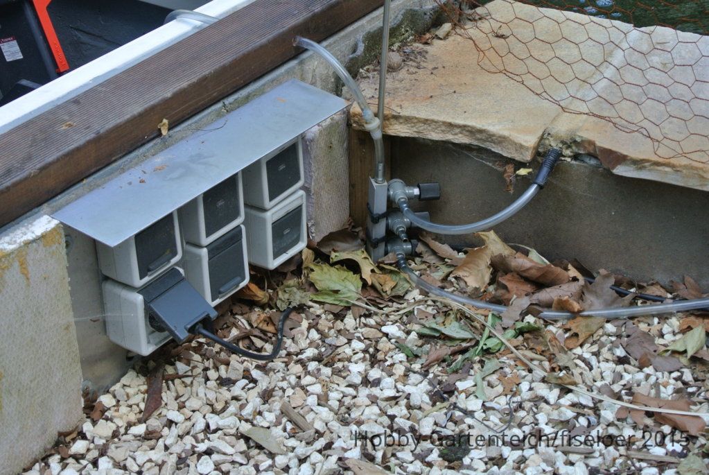 DSC_0183.JPG