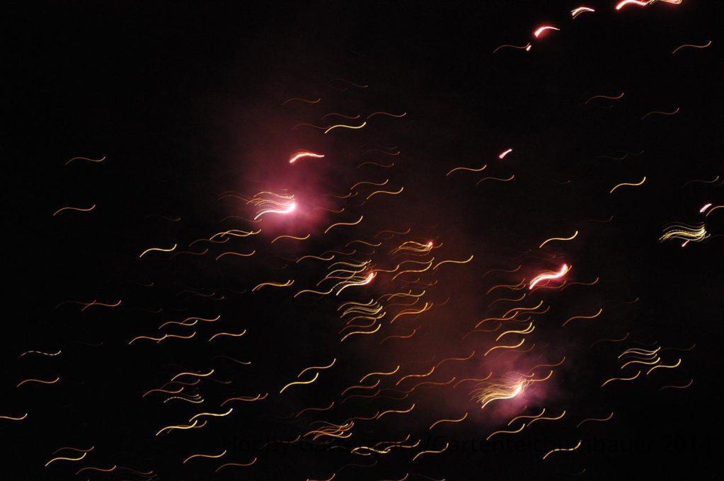 DSC_0265.JPG