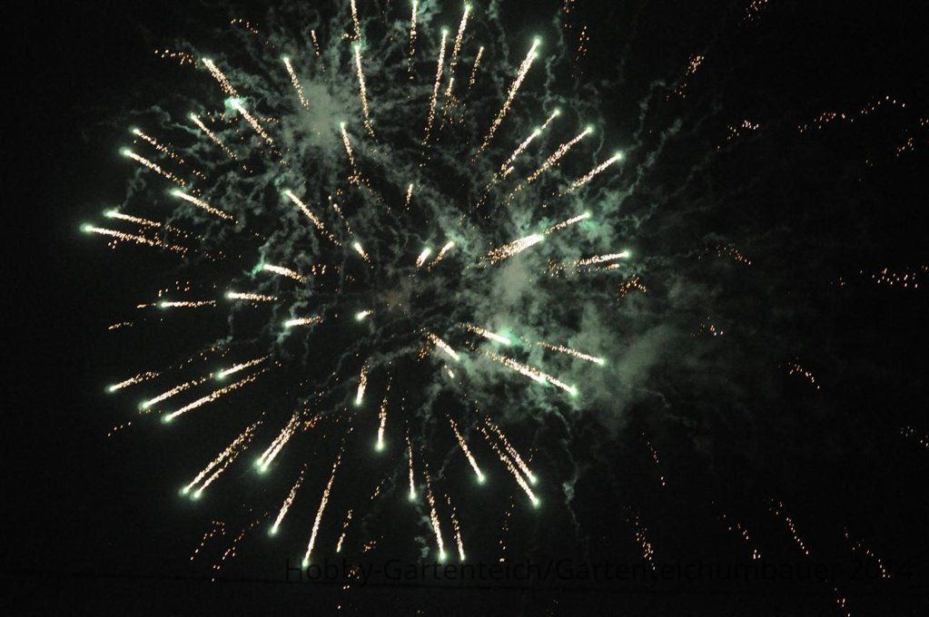 DSC_0285.JPG