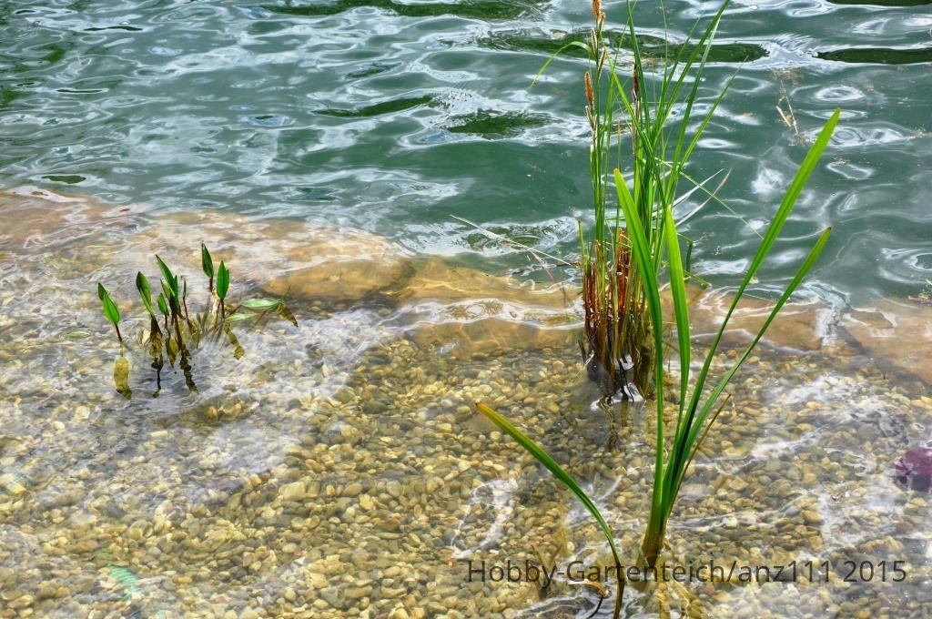 DSC_0604.jpg