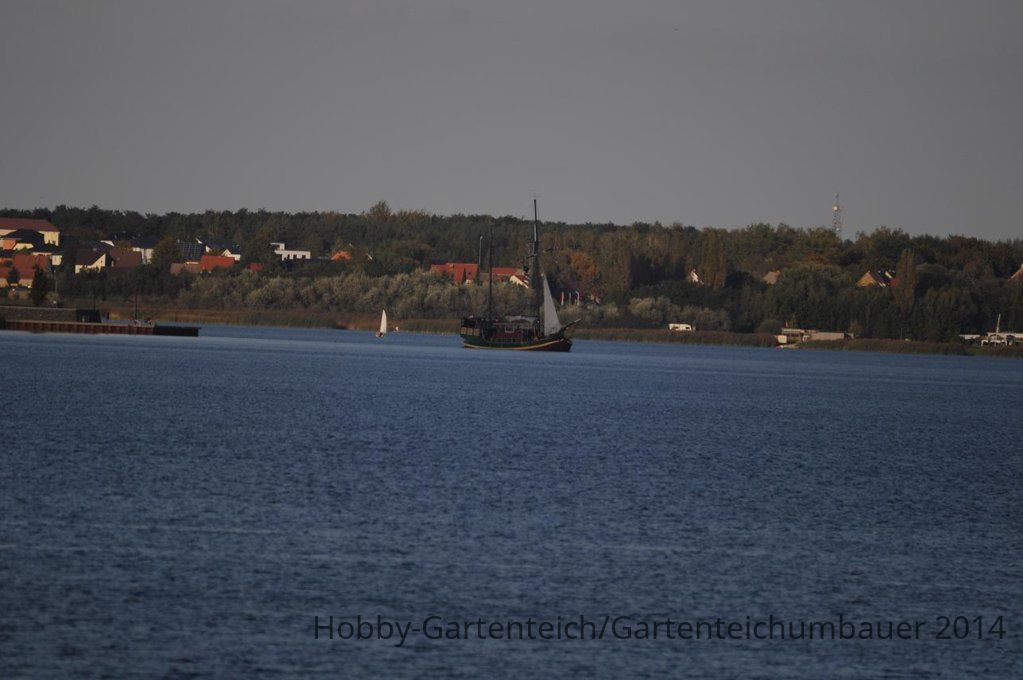 DSC_0637.JPG