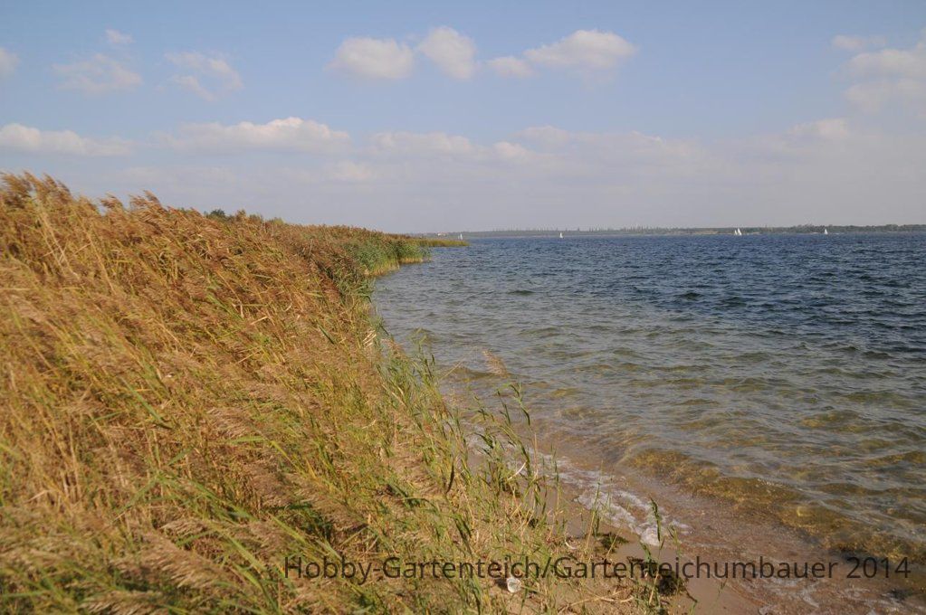 DSC_0772.JPG