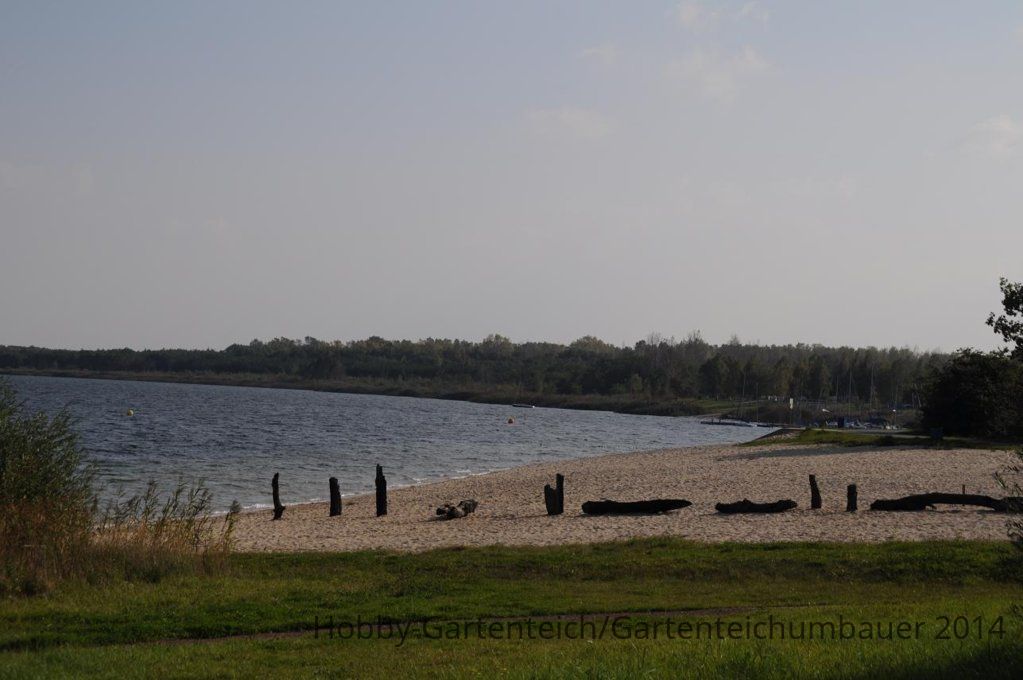 DSC_0779.JPG