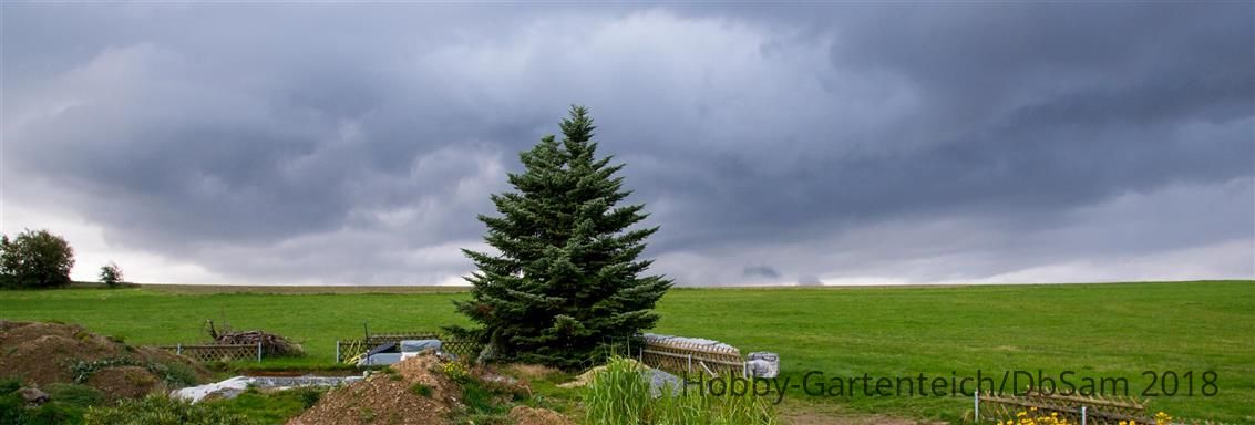 DSC_1677_0_0.jpg