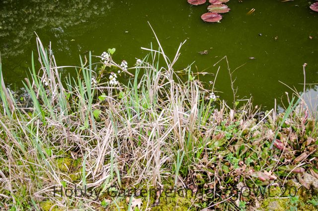 DSC_3525.jpg