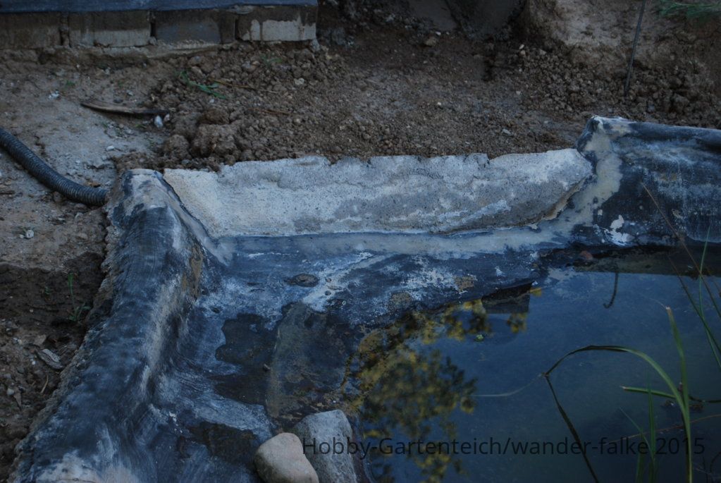 DSC_5584.JPG
