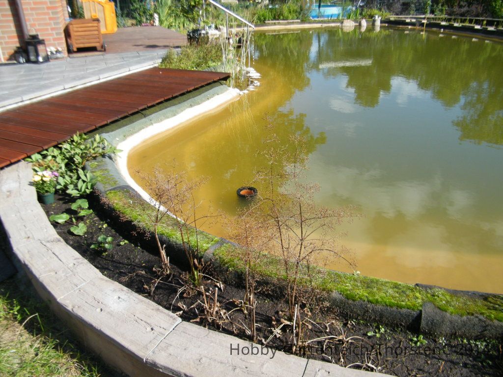 DSCF1445.JPG