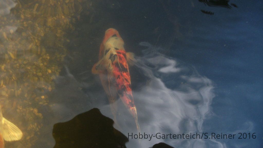 DSCF2152.JPG