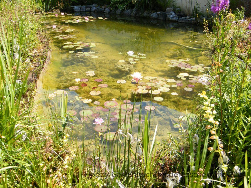 DSCF3881.jpg