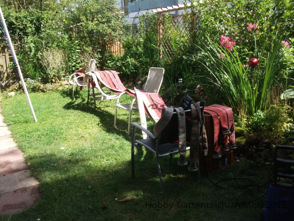 DSCF4081.JPG