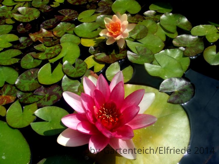 DSCF4573.JPG