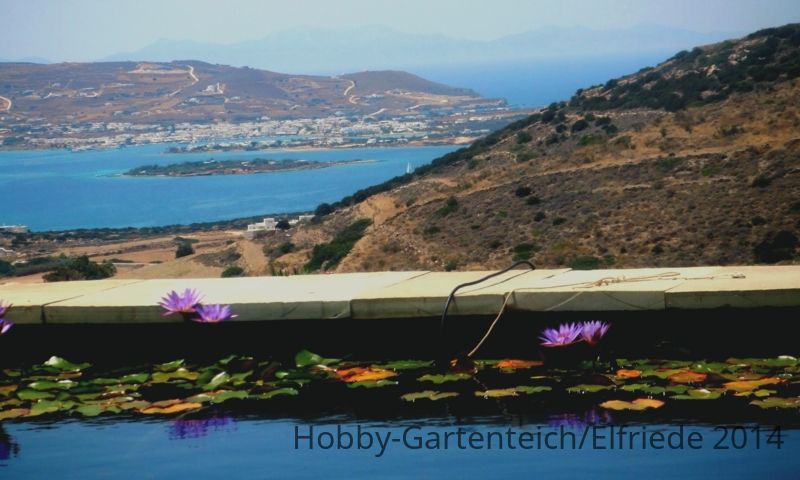 DSCF4615 Schwimmteich mit Blick zur Nachbarinsel Antiparos.JPG