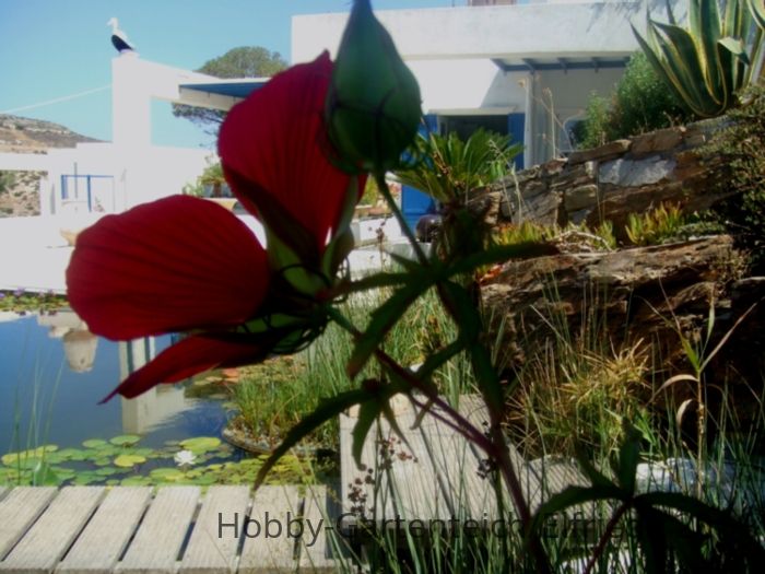 DSCF4659.JPG