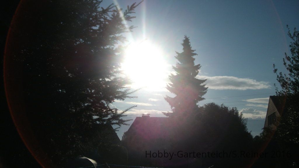DSCF5550.jpg