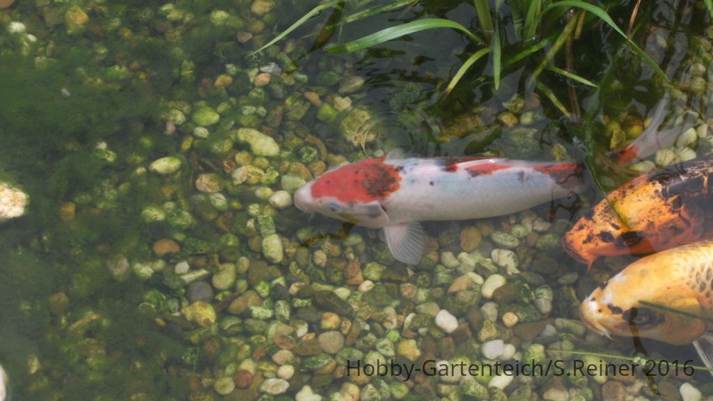DSCF5701.jpg