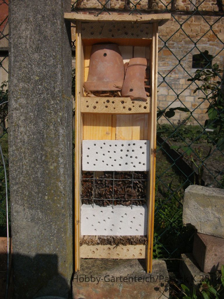 DSCF6018.JPG