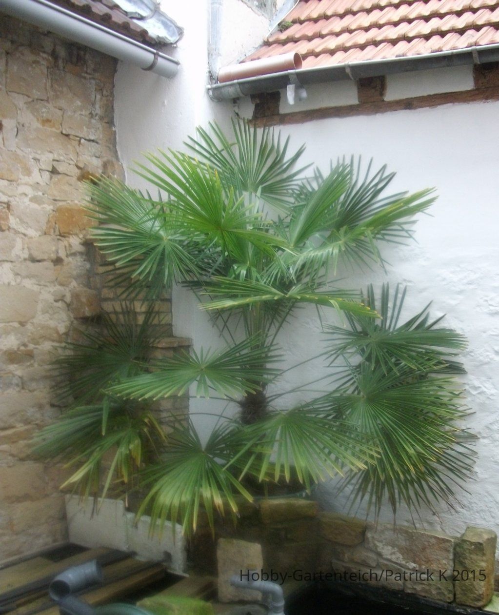 DSCF6362.JPG