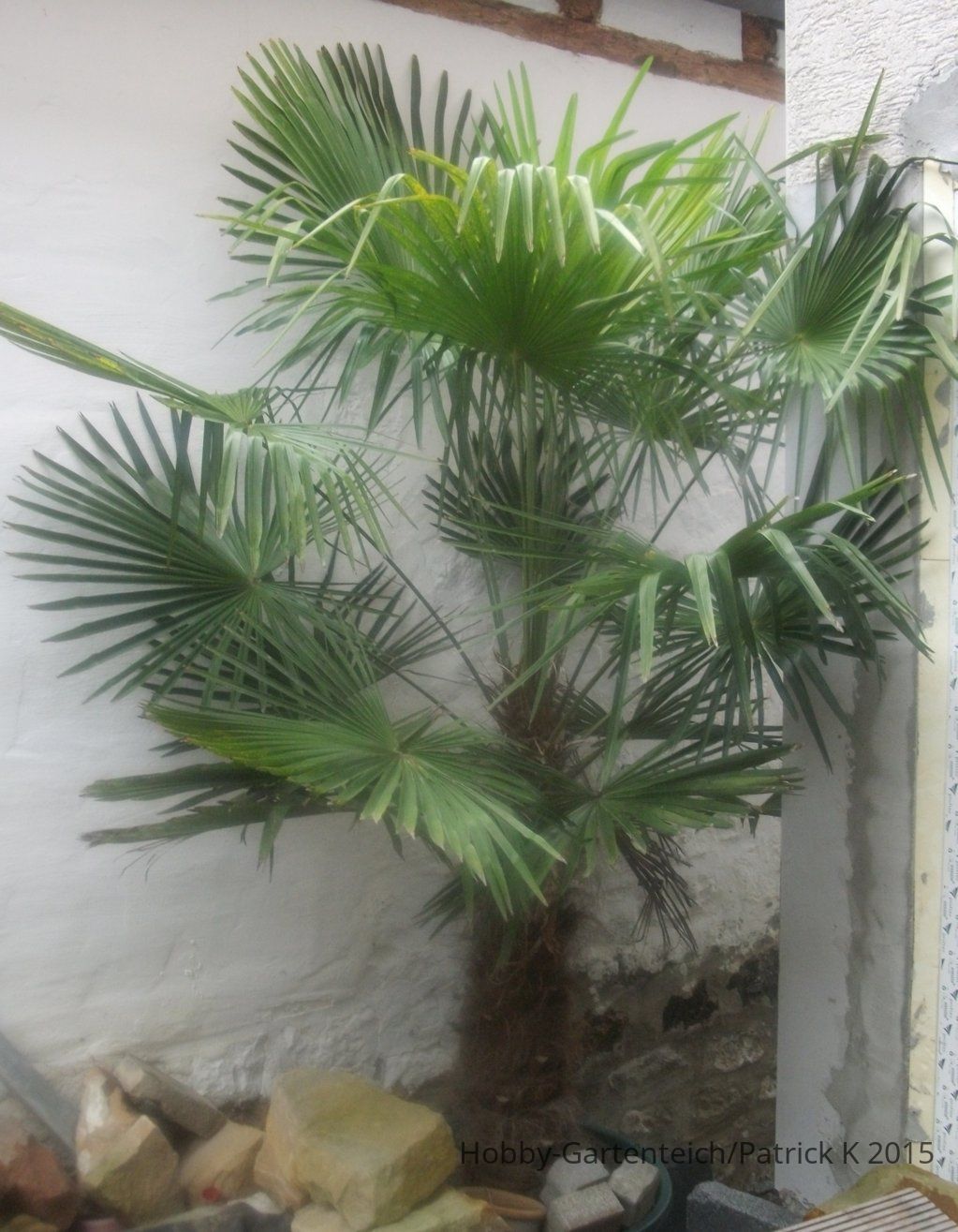 DSCF6363.JPG