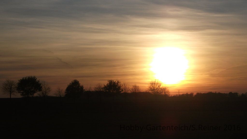 DSCF6653.jpg