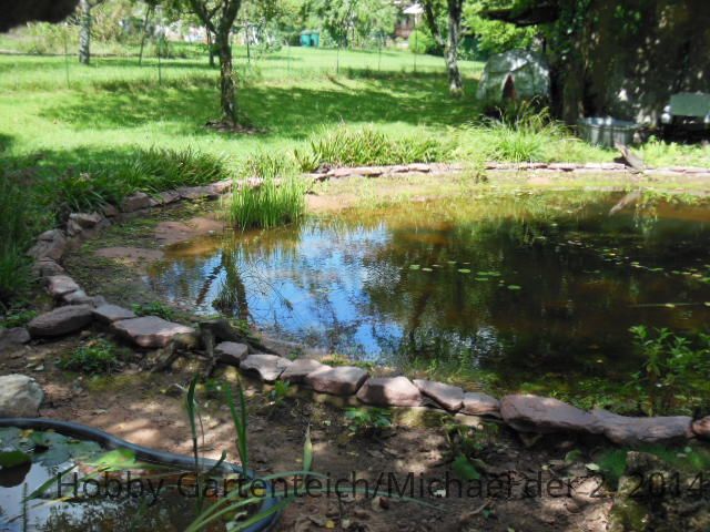 DSCN0786[1].JPG