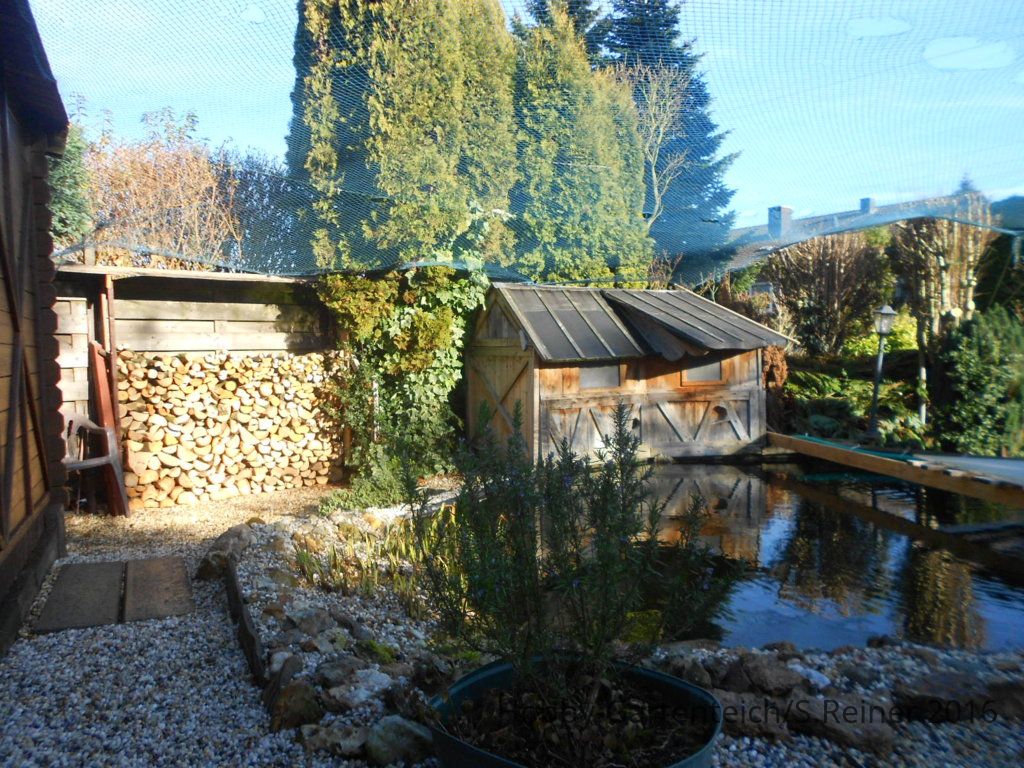 DSCN0928.JPG
