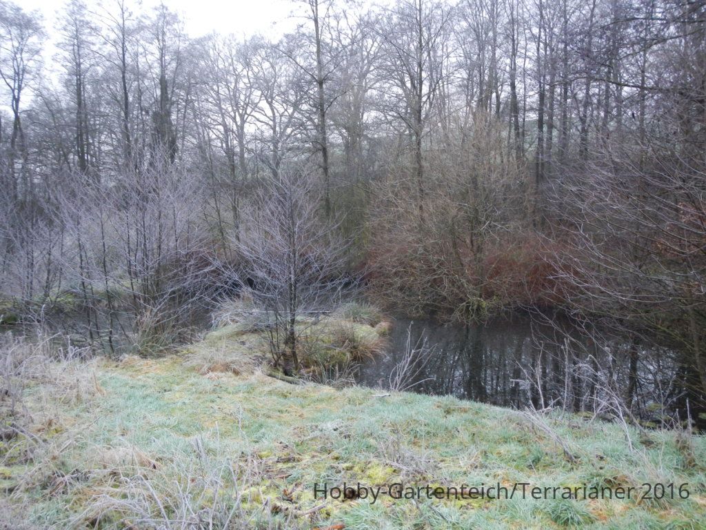DSCN1631.JPG