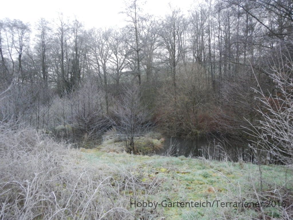 DSCN1632.JPG