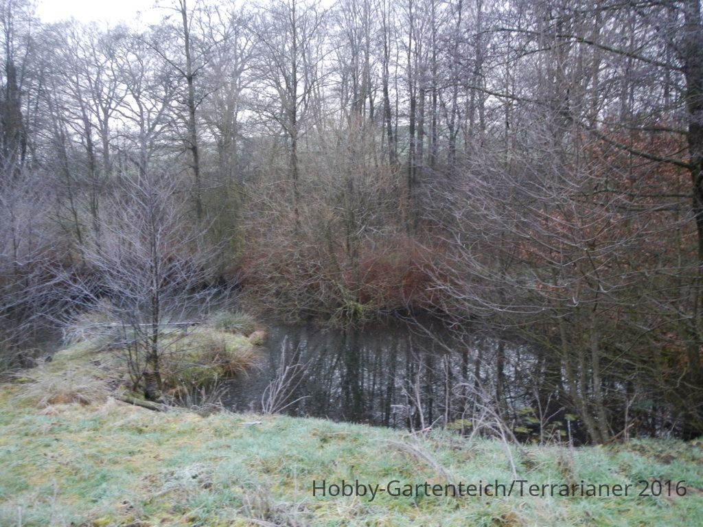 DSCN1633.JPG