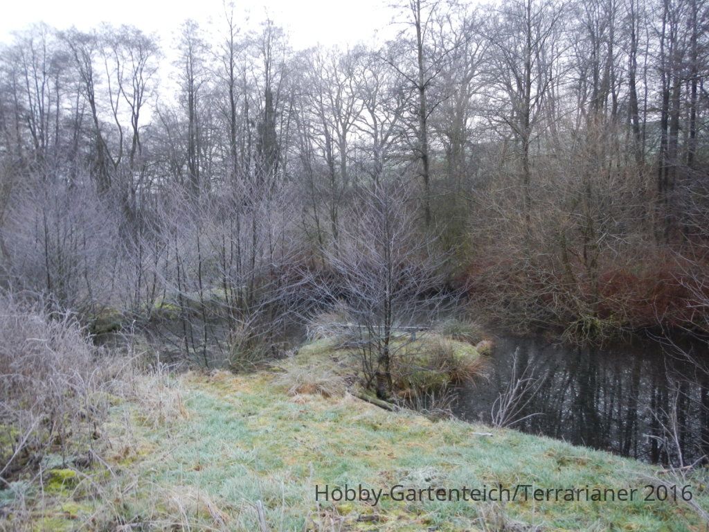 DSCN1634.JPG