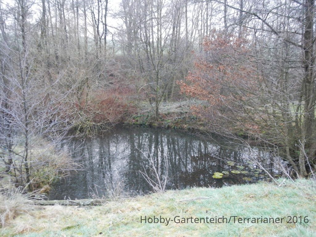 DSCN1635.JPG