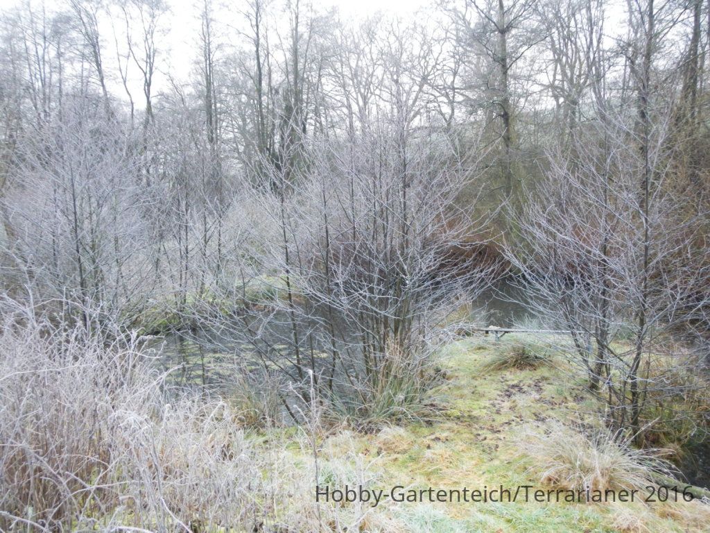 DSCN1636.JPG
