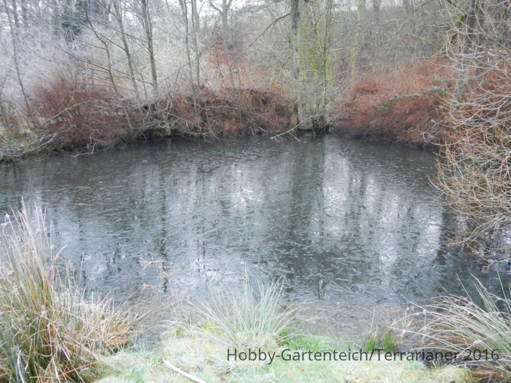 DSCN1639.JPG