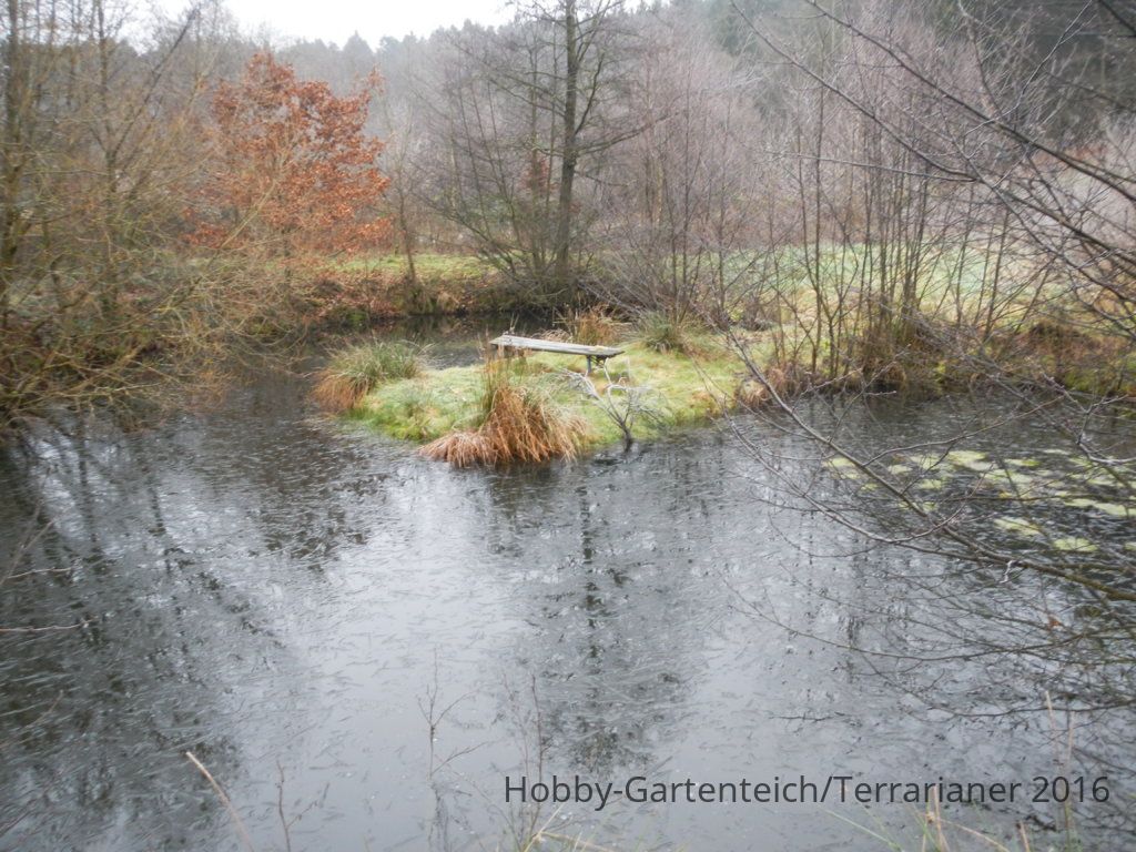 DSCN1642.JPG