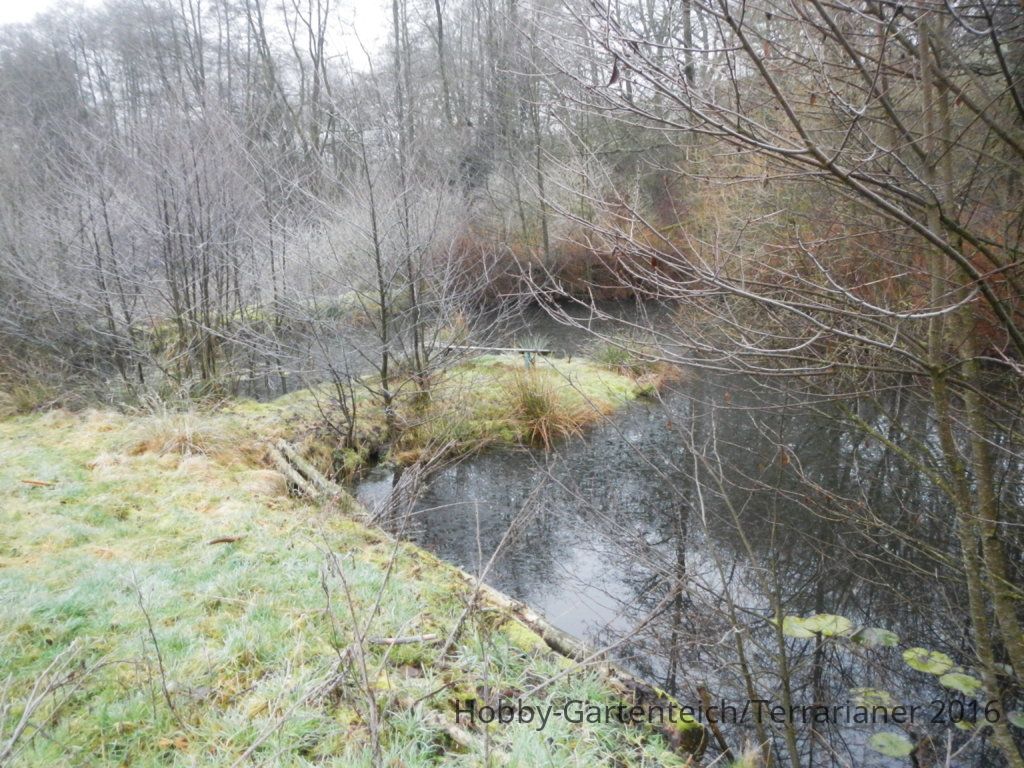 DSCN1647.JPG