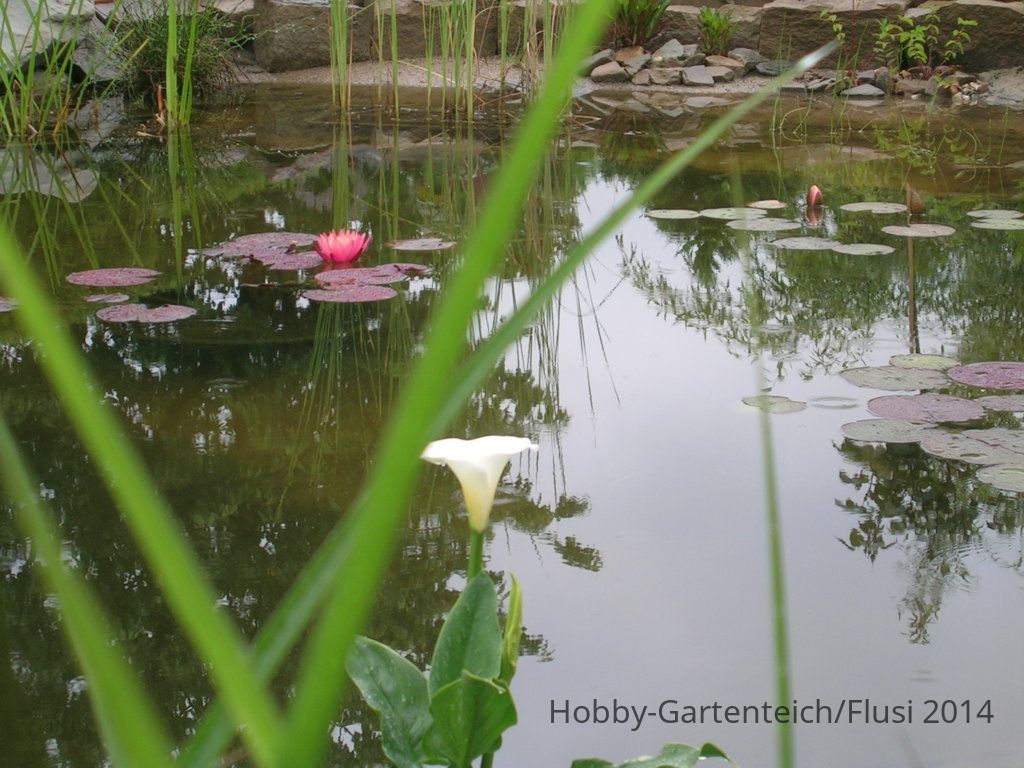 DSCN3698.JPG