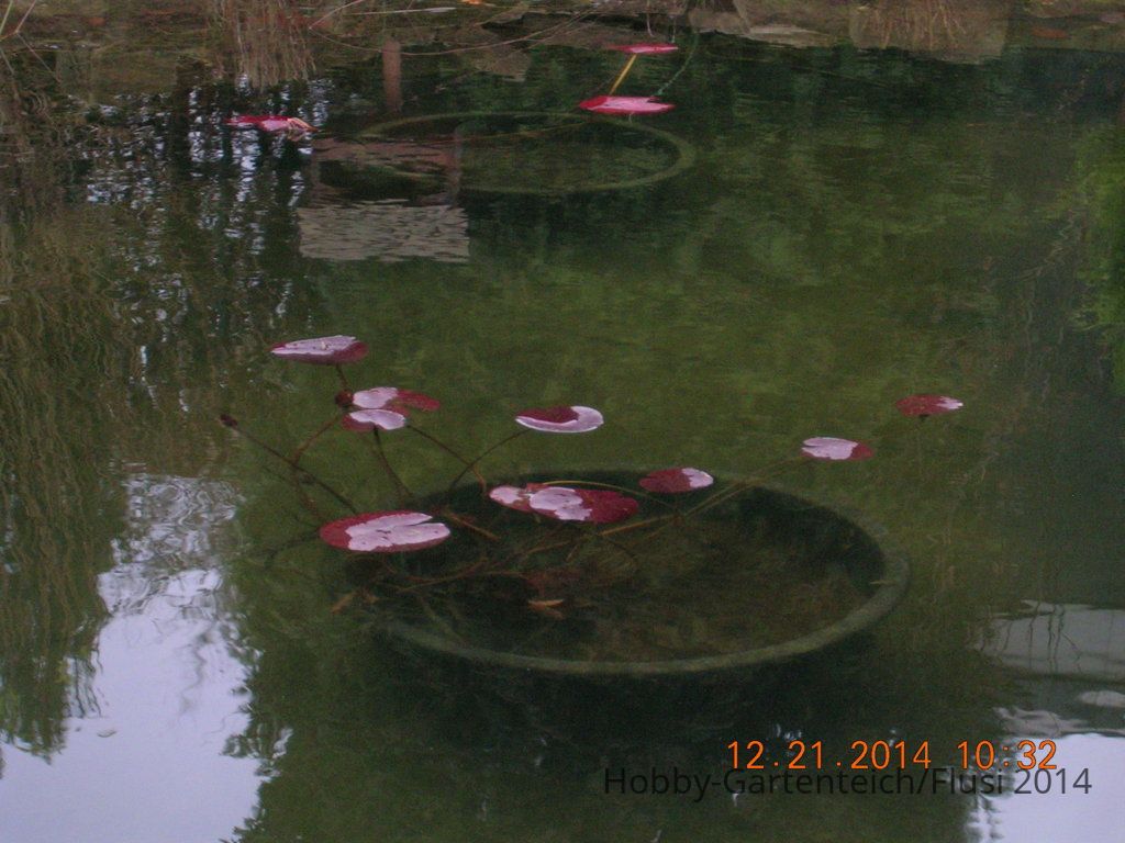 DSCN4057.JPG