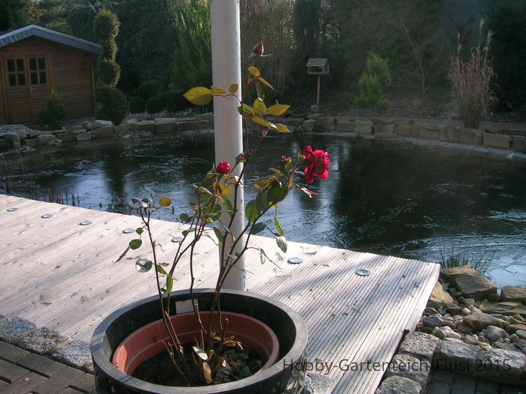 DSCN4069.JPG