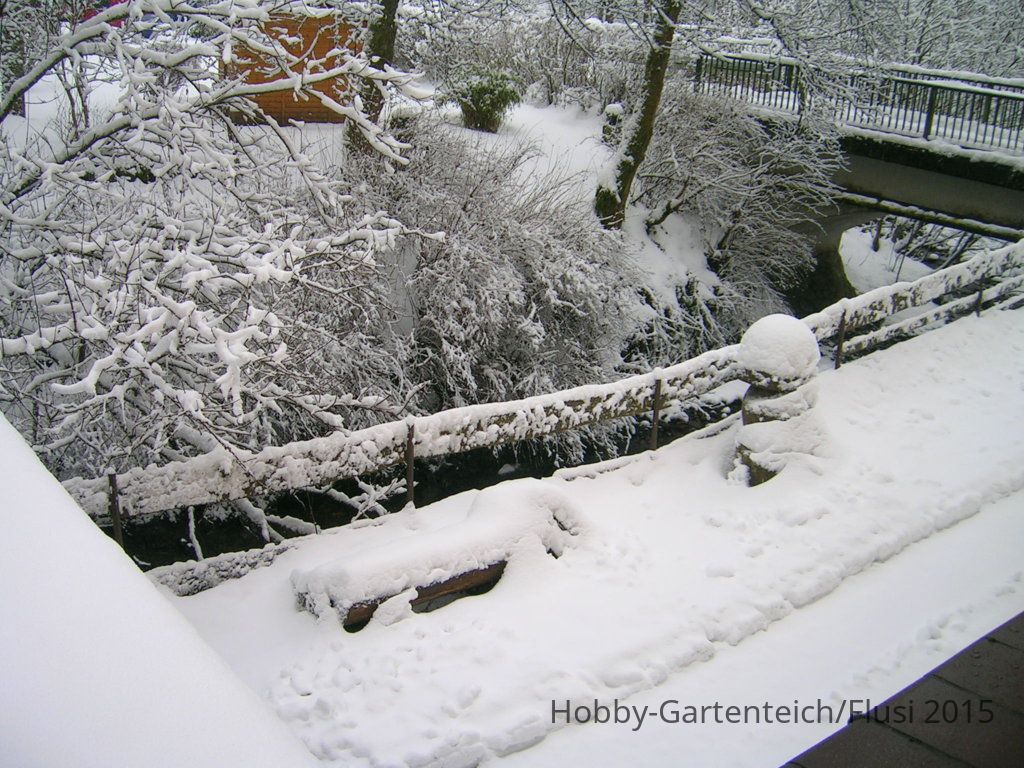 DSCN4109.JPG
