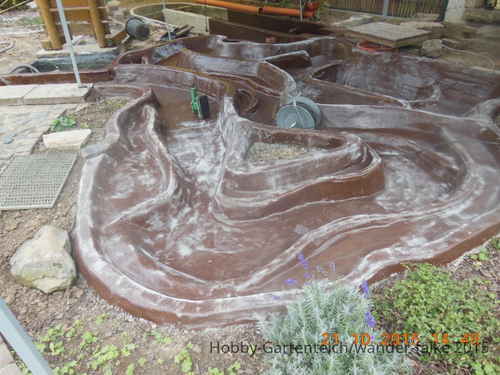 DSCN6142.JPG